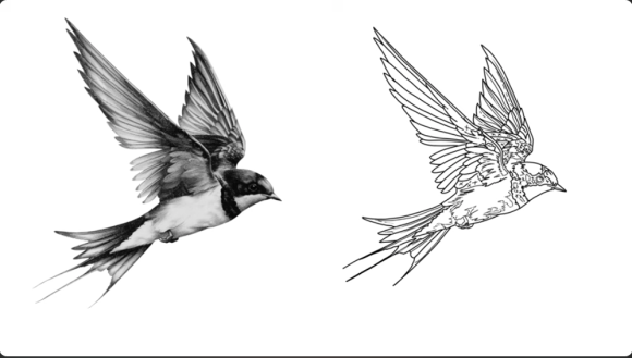 Captura de pantalla 2025-11-20 a la(s) 12.46.09 a.m. Listen to the Best Music From New York Fashion Week